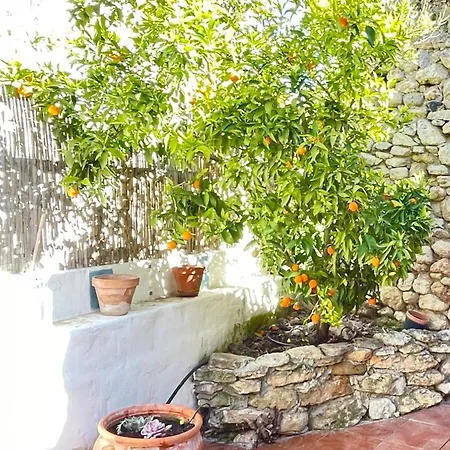 Casa Mandarina * 알하마데그라나다