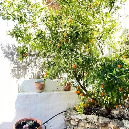 Semesterbostad Casa Mandarina *